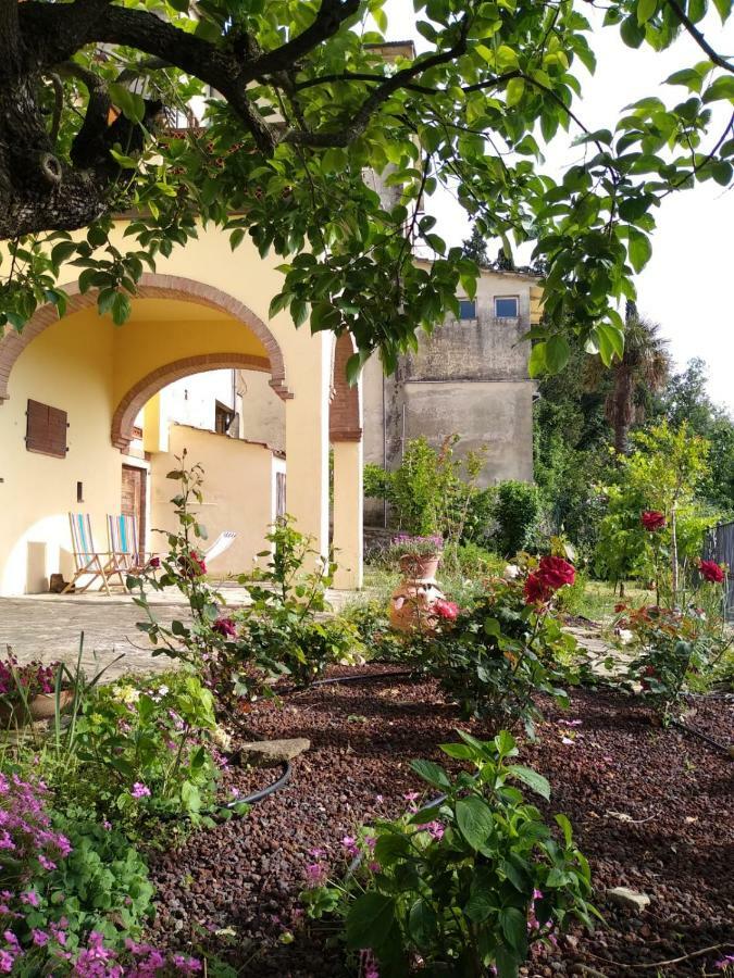 Da Vinci Sweet Home Кастильон-Фибокки Экстерьер фото